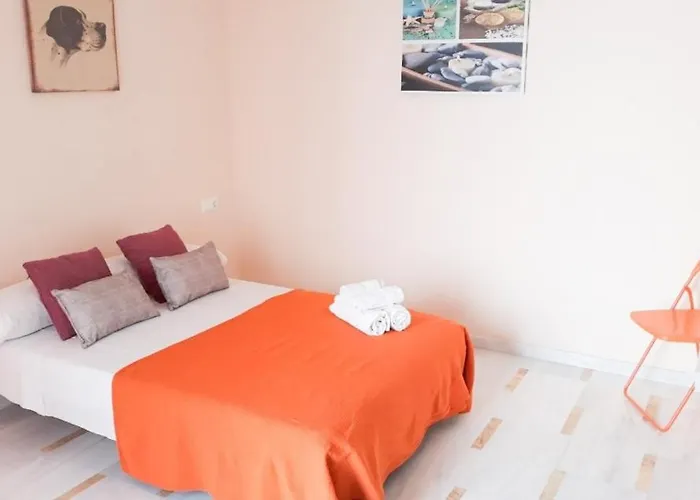 Conilplus San Ignacio *