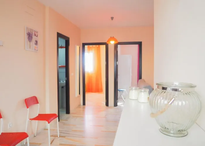 Conilplus San Ignacio *