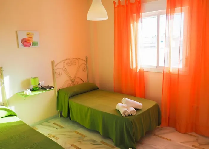 Conilplus San Ignacio *