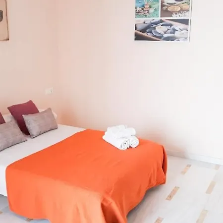 Conilplus San Ignacio *