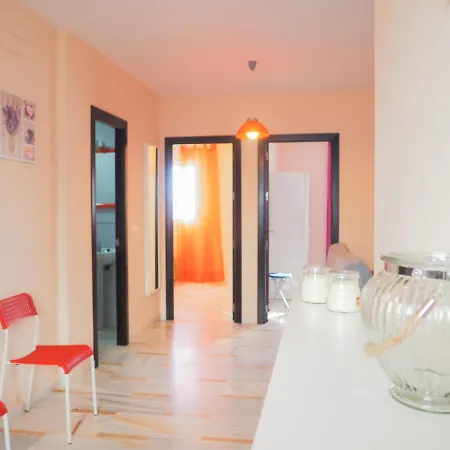 Conilplus San Ignacio *