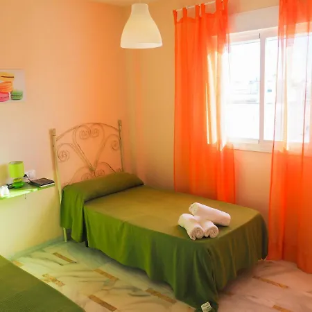 Conilplus San Ignacio *