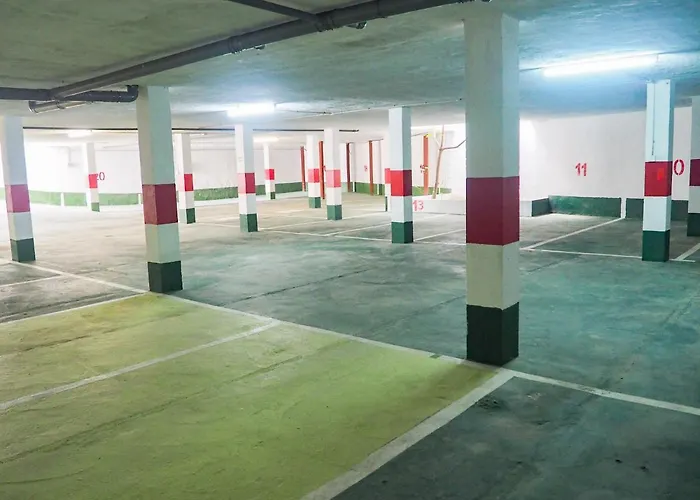 Conilplus San Ignacio *